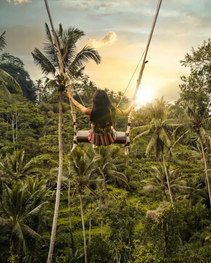 Ayunan bangku di atas sawah terasering Bali